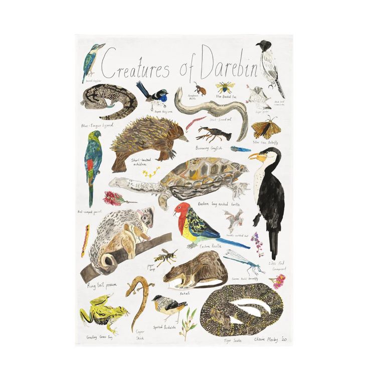 Tea Towels by Claire Mosley