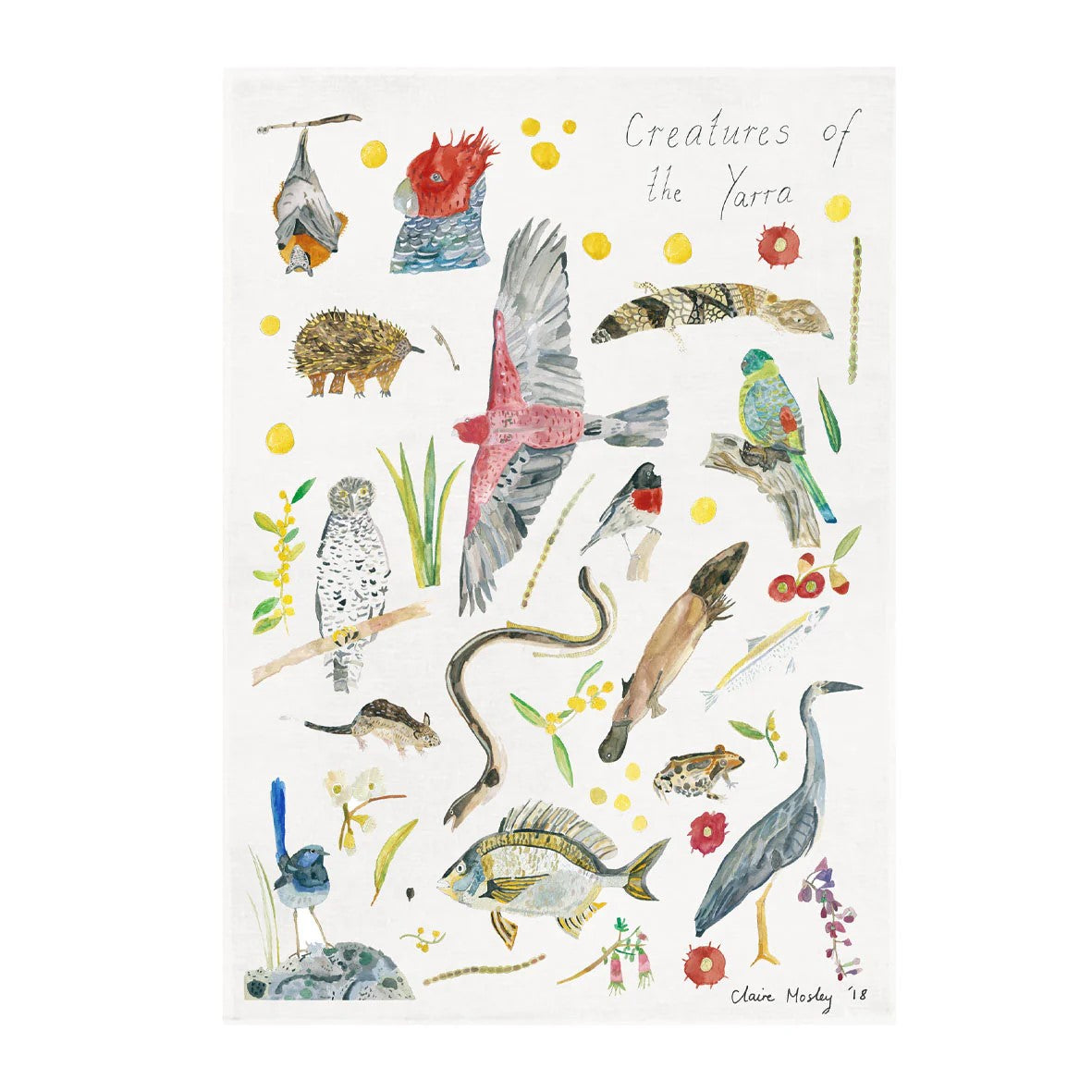 Tea Towels by Claire Mosley