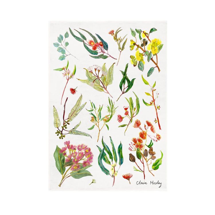 Tea Towels by Claire Mosley
