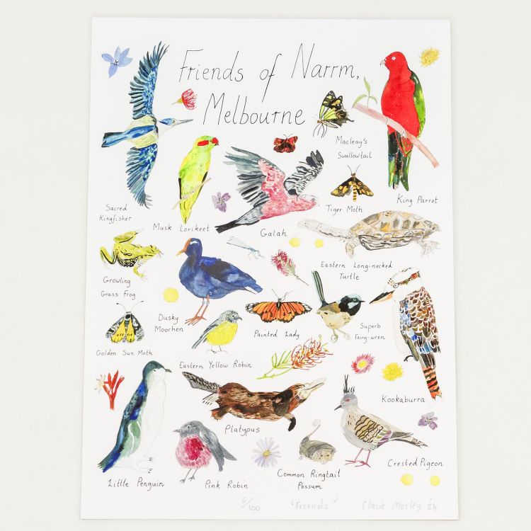 Tea Towels by Claire Mosley