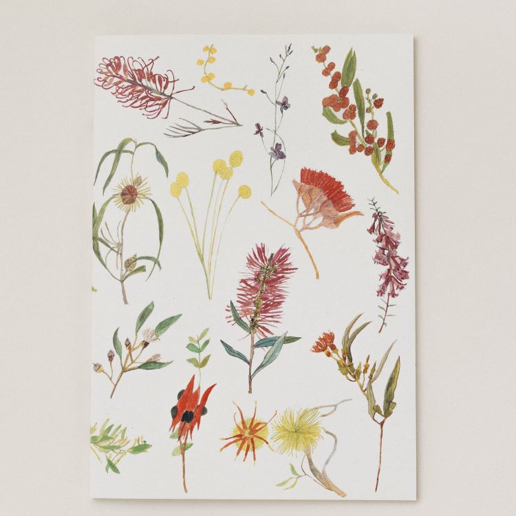 Notebooks by Claire Mosley