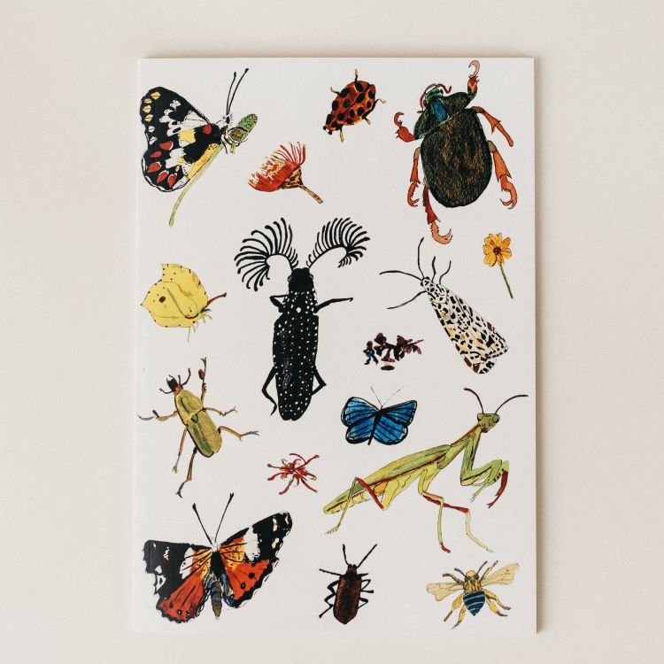 Notebooks by Claire Mosley