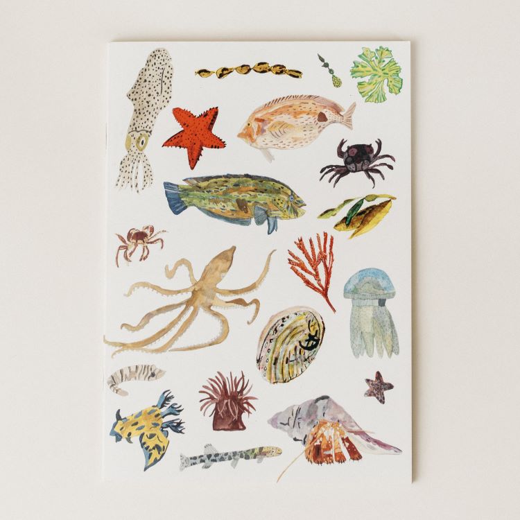 Notebooks by Claire Mosley