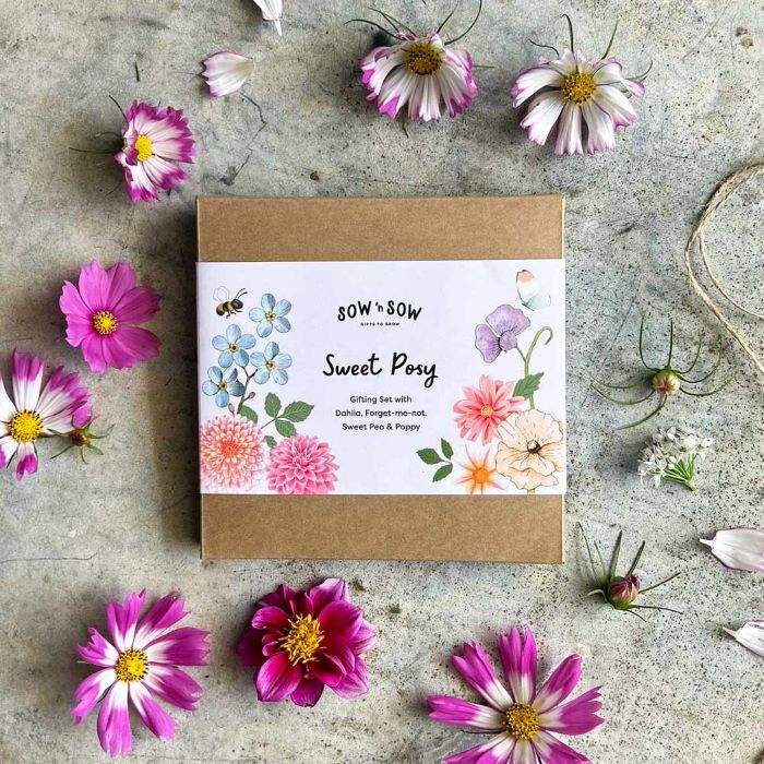 Seed Card - Sweet Posy Gifting Set