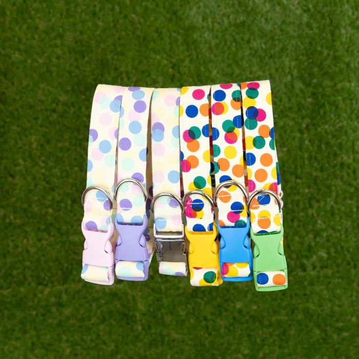 Handmade Dog Collars & Leash - Confetti Collection