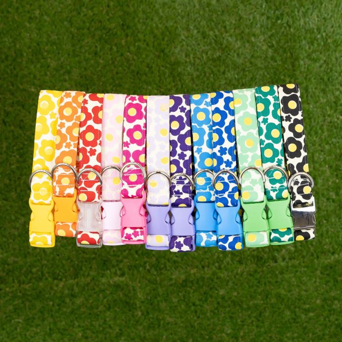 Handmade Dog Collar's & Leashes - Flower Collection