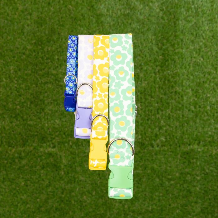 Handmade Dog Collar's & Leashes - Flower Collection