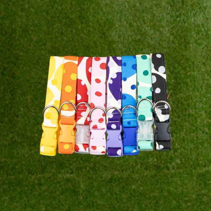 Handmade Dog Collar's & Leashes - Couch Potato Collection