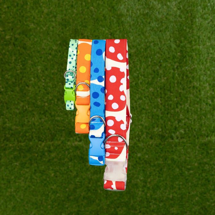 Handmade Dog Collar's & Leashes - Couch Potato Collection