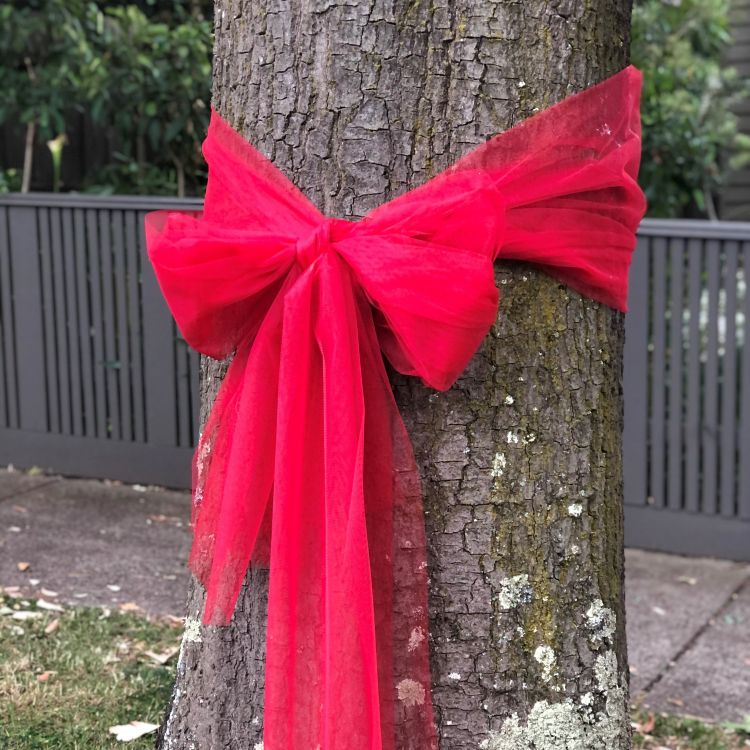 Big Red Bows