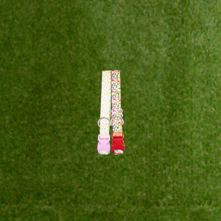 Puppy Collar's & Lead's - Confetti