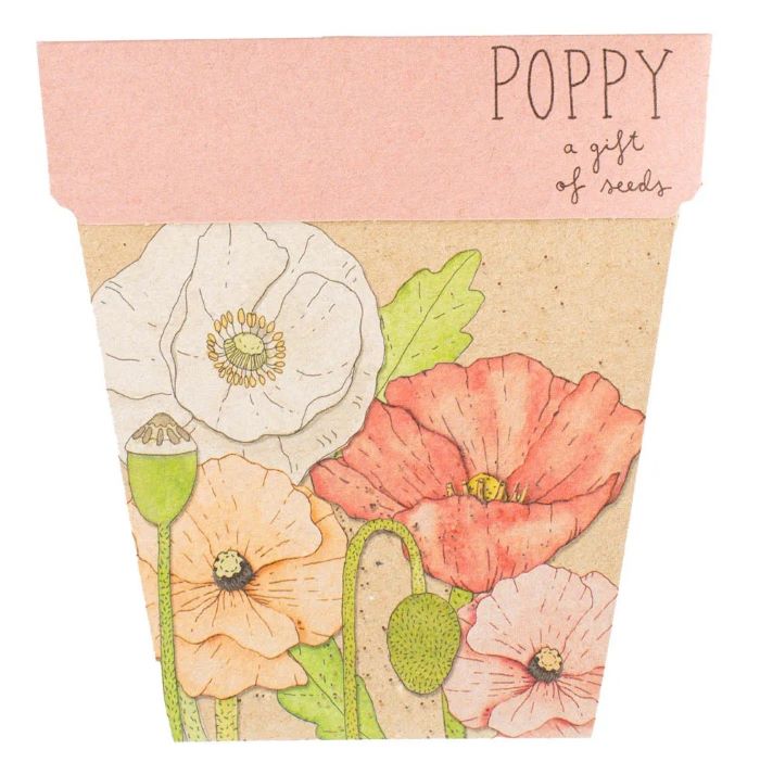 Gift of Seeds - Flowers