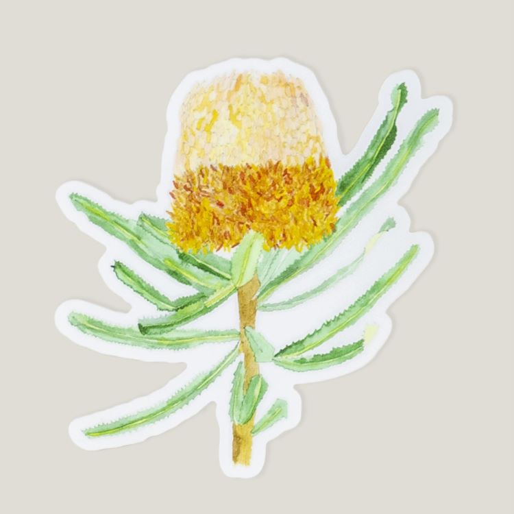 Stickers by Claire Mosley