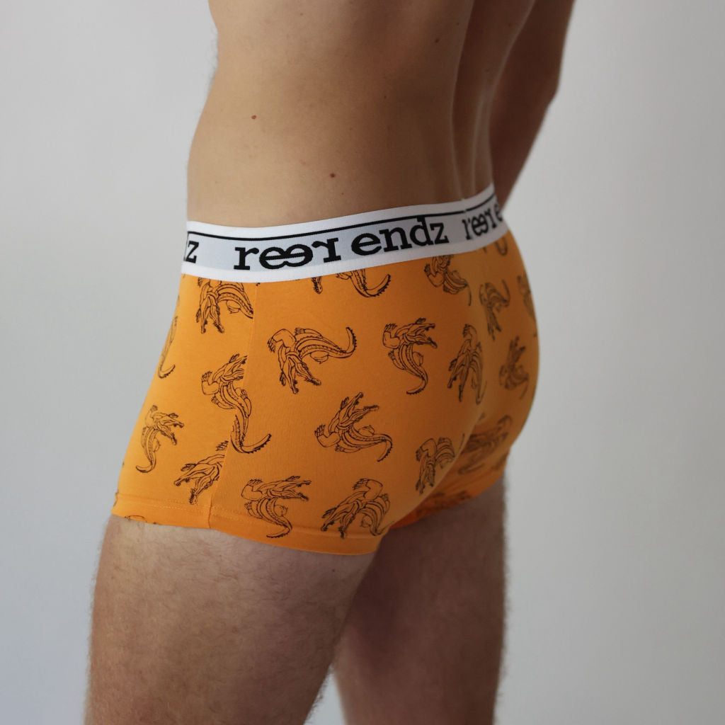 Organic Cotton Boxershorts