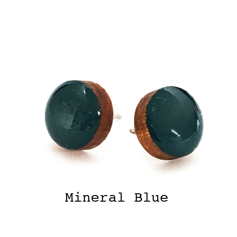 Colour Dot  Studs