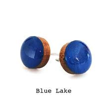 Colour Dot  Studs