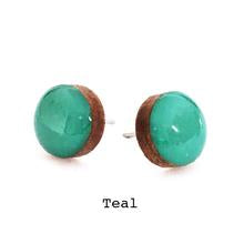 Colour Dot  Studs