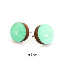 Colour Dot  Studs