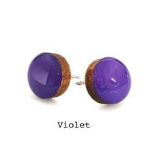 Colour Dot  Studs