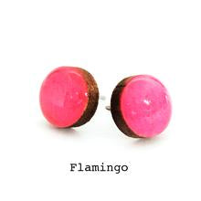 Colour Dot  Studs