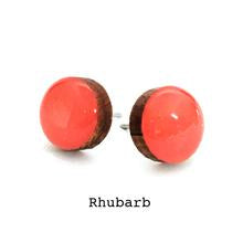 Colour Dot  Studs