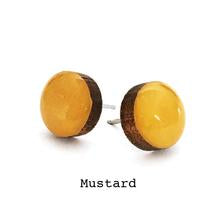 Colour Dot  Studs