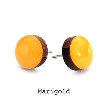 Colour Dot  Studs