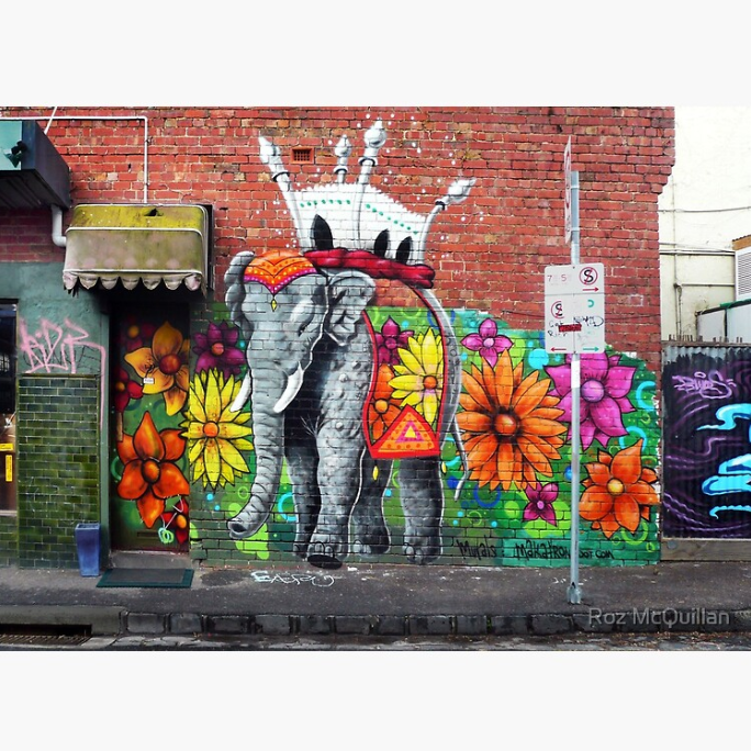 Melbourne Graffiti Photography by Roz McQuillan
