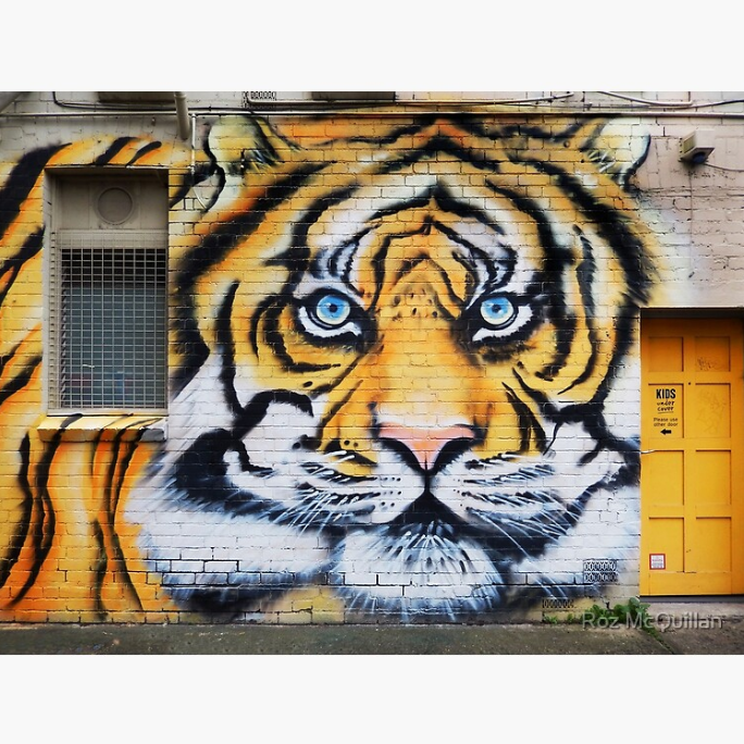 Melbourne Graffiti Photography by Roz McQuillan