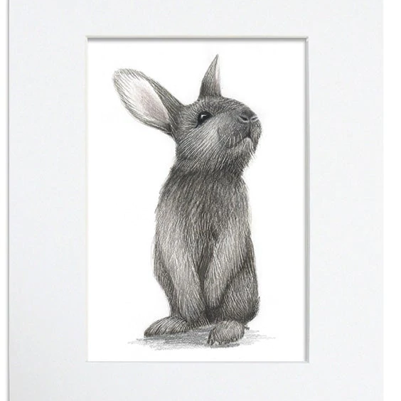 Woodland Animal Print Series