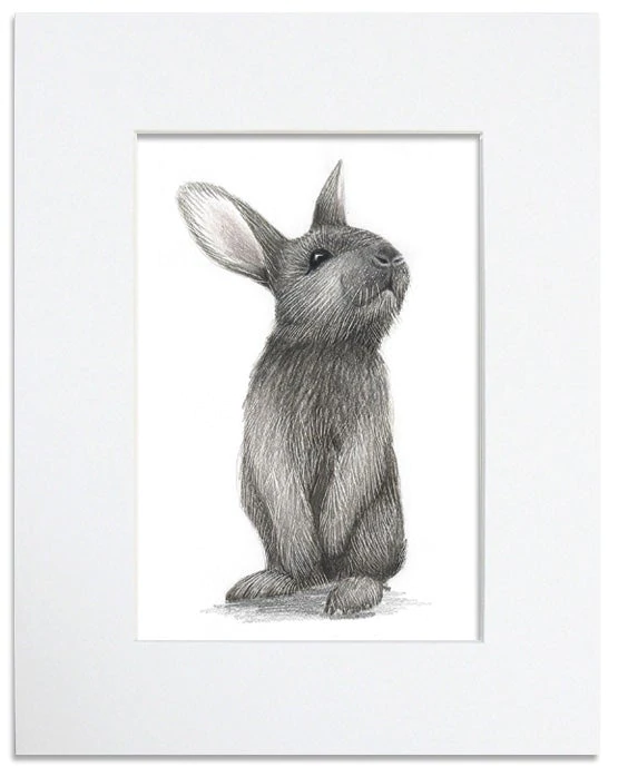 Woodland Animal Print Series