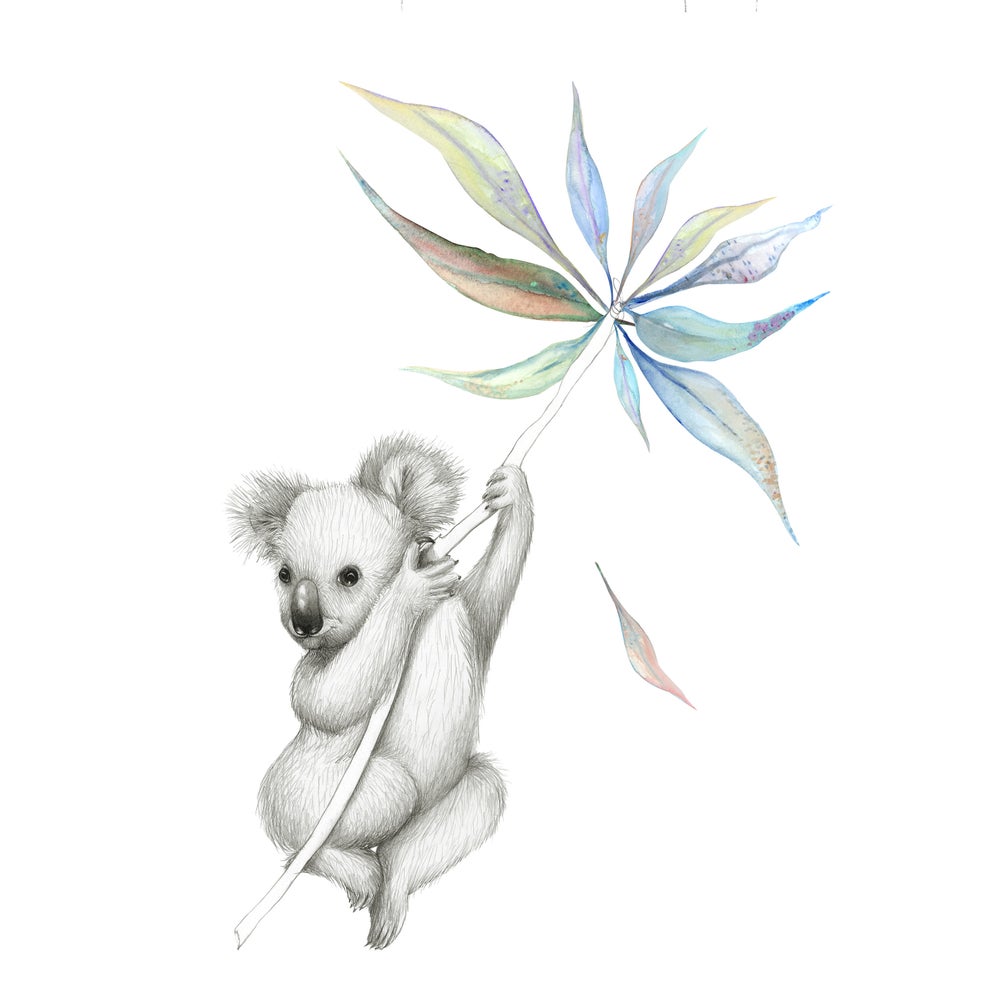 Australian Animal Print Series