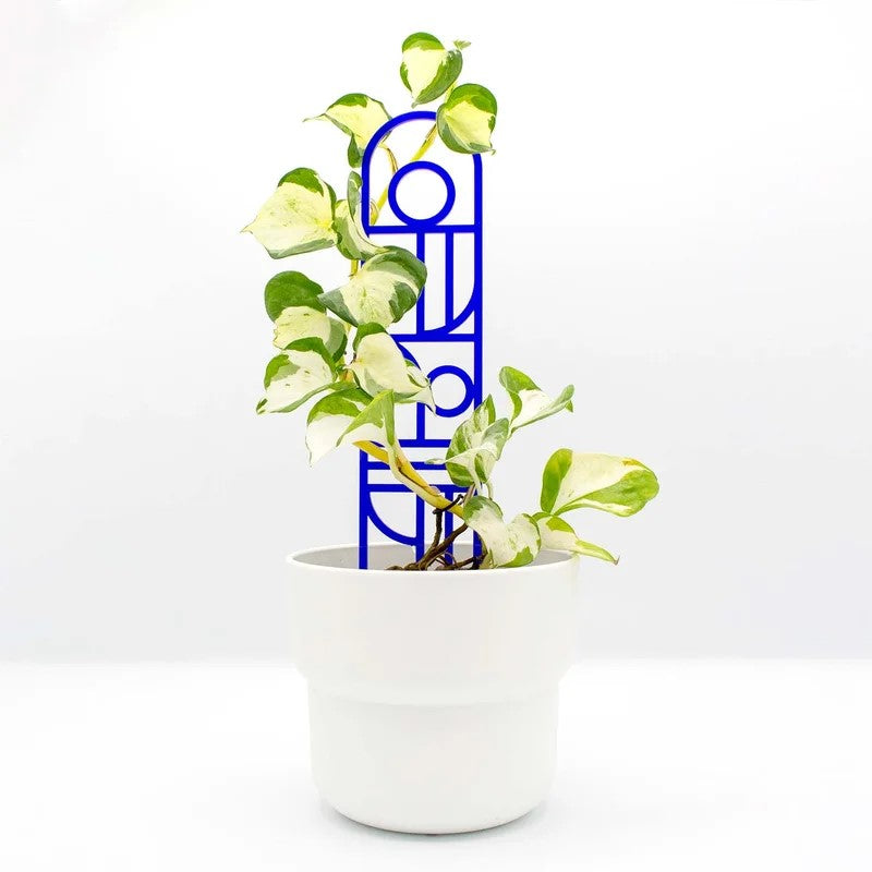 Plant Stakes by Yano Design