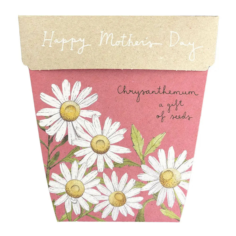 Gift of Seeds - Flowers